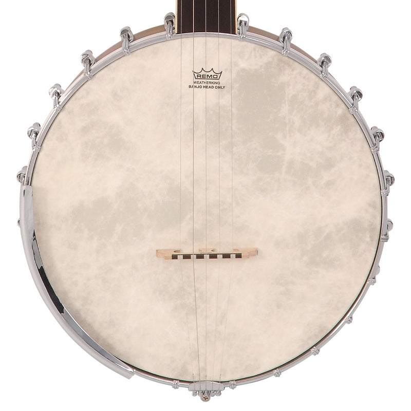 Vintage Shady Grove 3 ~ Open Back Banjo