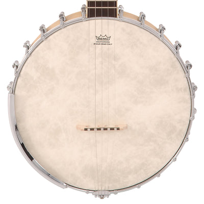 Vintage Shady Grove 7 ~ Open Back Banjo