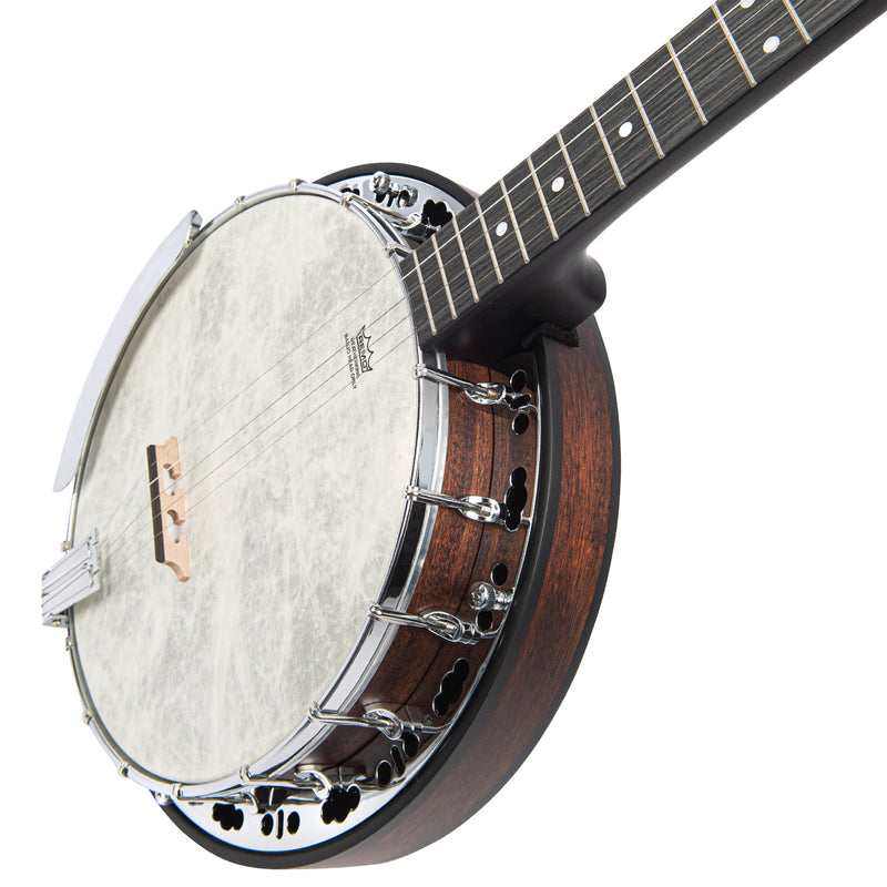 Vintage Rocky Mountain 1 ~ Resonator Banjo