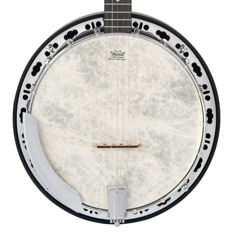 Vintage Rocky Mountain 1 ~ Resonator Banjo