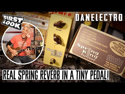 Danelectro Spring King Junior
