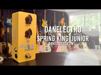 Danelectro Spring King Junior