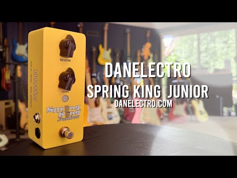 Danelectro Spring King Junior