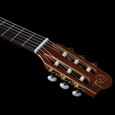 Godin Collection Nylon String Guitar